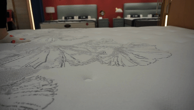 芝华仕5星床垫测评：国风款3D床垫：三分慵懒七分自然 超舒适 益睡眠（型号：5星旗舰垫）(图13)