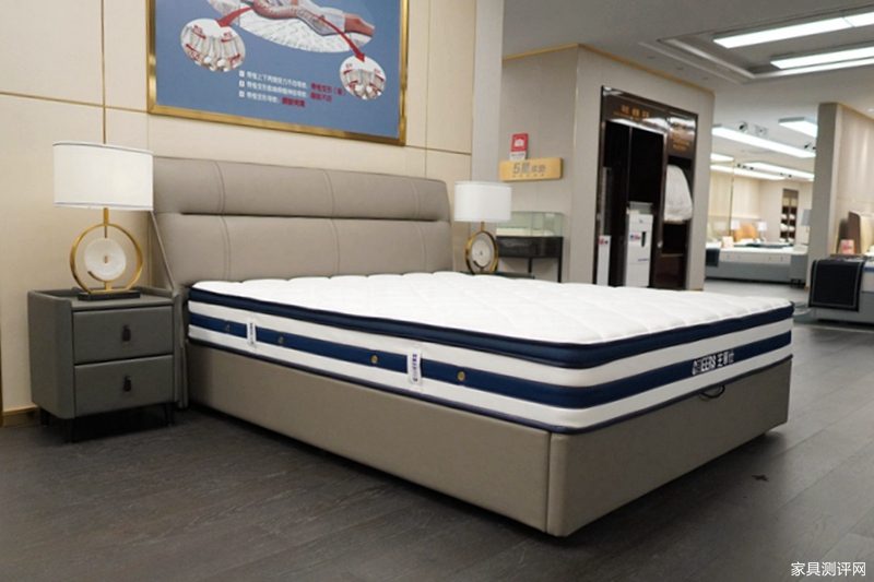 芝华仕5星床垫测评：高性价比真皮床 半旋侧翼个性设计 床垫用料足（型号：C266安加拉套床）(图1)