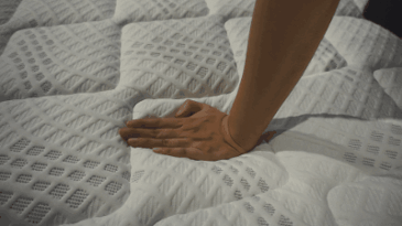 芝华仕5星软床测评：双床屏撞色设计 打造活力空间 床垫软糯宜睡眠（型号：芝初床架+芝初床垫）(图21)