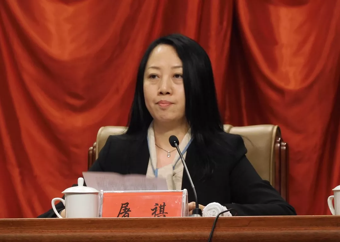 全国家具行业标准化工作会暨全国家具标准化技术委员会第三届一次全体委员会议成功举办(图3)