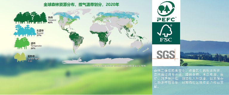 无界·家具行业未来趋势——中国家具协会副理事长兼秘书长屠祺(图35)