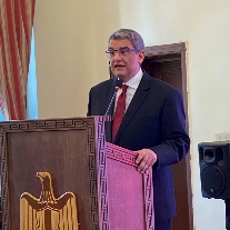 中国家具协会应邀出席埃及驻华大使馆国庆日活动(图3)