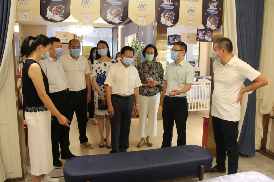 中国轻工业联合会、中国家具协会一行前往顺德龙江进行行业调研(图5)