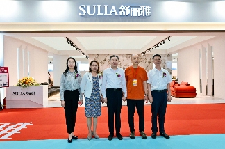 2025第22届中国·沈阳家博会盛大开幕(图9)