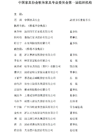 同心筑梦 共启新程——中国家具协会软体家具专业委员会成立大会盛大召开(图20)