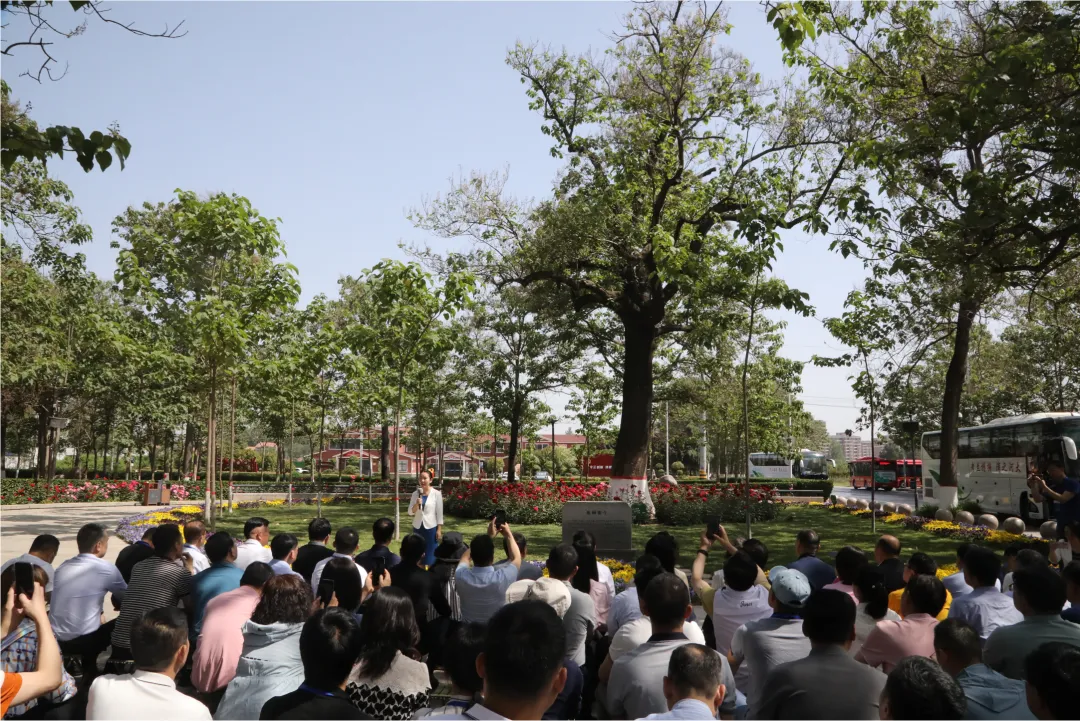 数质双升 品效共赢——2024年中国家具协会常务理事会议成功召开(图16)