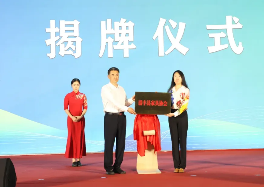 第七届中国·清丰绿色家居博览会开幕(图6)