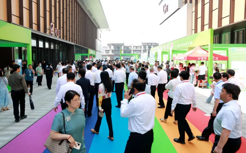 第七届中国·清丰绿色家居博览会开幕(图12)