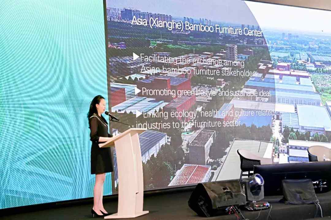 亚洲家具行业可持续发展大会在雅加达盛大召开(图8)